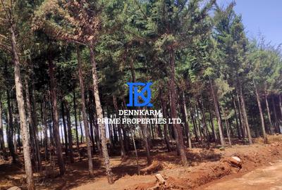 0.05 ha Land at Thigio - 4