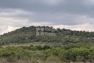 9.7 ac Land in Nanyuki