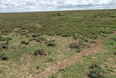 Land in Rumuruti - 3