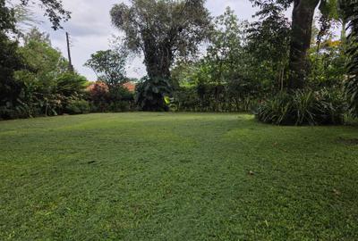 Commercial Land in Lavington - 2