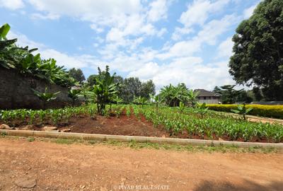 0.45 ac Land at Runda Mushroom