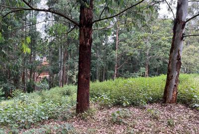 Residential Land at Nyari Estate