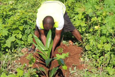 1,012 m² Residential Land at Diani Beach Road - Kinondo