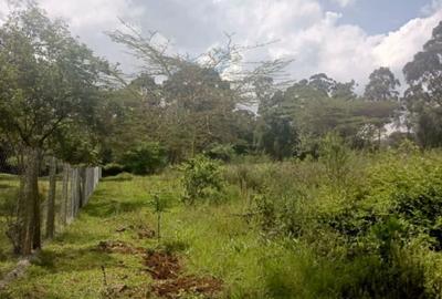 0.5 ac Residential Land in Karen