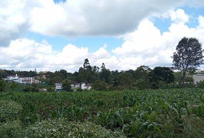 Residential Land at Tigoni - 3