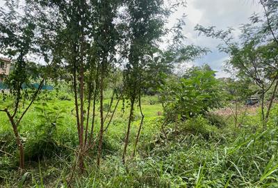 0.75 ac Residential Land at Convent Dr - 3