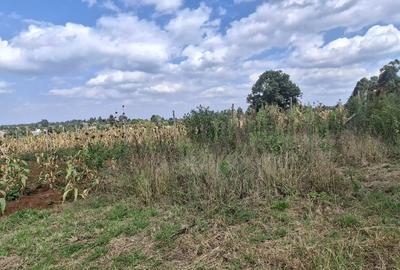 0.125 ac Land in Kamangu - 4