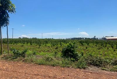 5 ac Land at Evergreen - Kiambu Road - 2