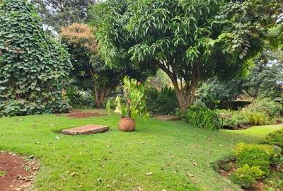 4 Bed Townhouse with En Suite at Red Hill - 3