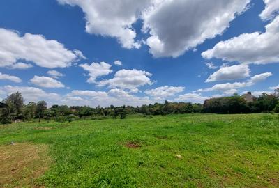 Residential Land at Flem Tree Off Ruaka Road