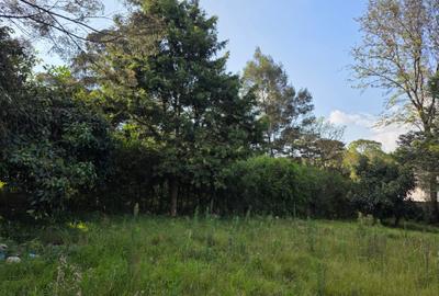 Residential Land in Karen - 3