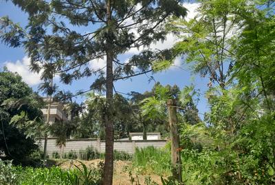 Residential Land at Karuri - 2