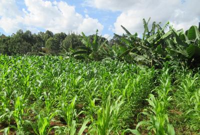 Land at Off Kiambu Rd - 3