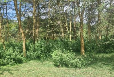 5.5 ac Land in Naivasha - 3