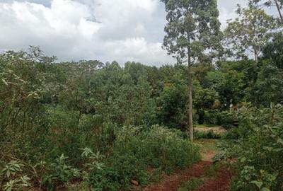 Residential Land in Runda