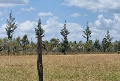 Residential Land at Moi South Lake Road