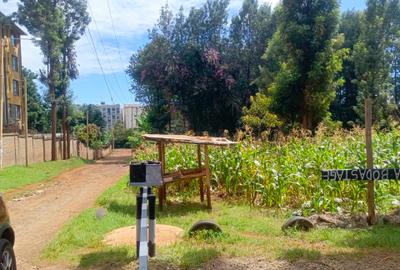 2,832.8 ac Land in Thindigua - 4