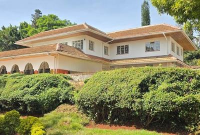 Commercial Property with Backup Generator in Lavington - 2