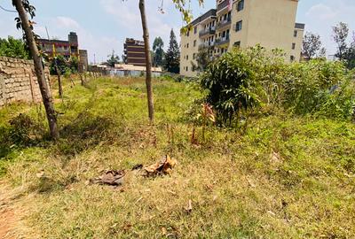 0.5 ac Land at Banana Raini Road - 2