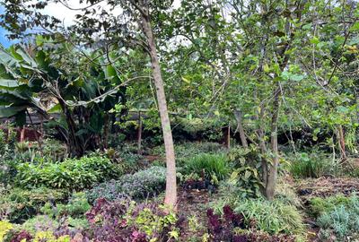 Residential Land at Thigiri