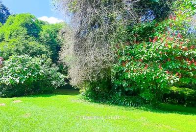 4 Bed House with Garden in Muthaiga - 2