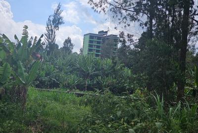 0.125 ac Land in Banana - 3