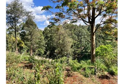 Residential Land in Kitisuru