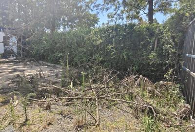 0.125 ac Commercial Property with Parking in Karen - 2