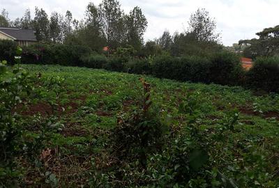 0.25 ac Residential Land in Ngong