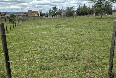 0.25 ac Residential Land at Chuna Estate