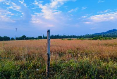 10 ac Land at Mweiga - 2