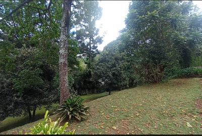 5 Bed House with En Suite at Kyuna