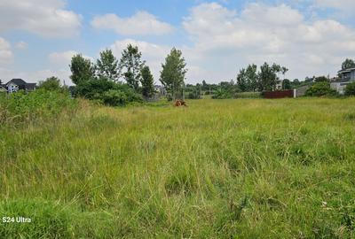 0.35 ha Residential Land at Ufanisi Lane Mugutha - 2