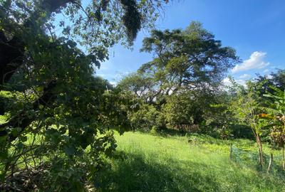 1.25 ac Residential Land in Kyuna