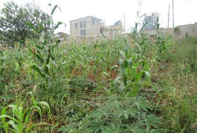 Residential Land at Mushroom Gardens
