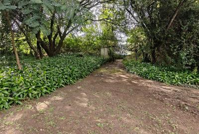 5 ac Land in Karen - 2