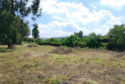 Land at Near St.pauls University