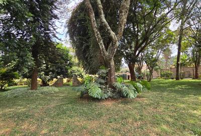5 Bed House with En Suite in Runda - 4