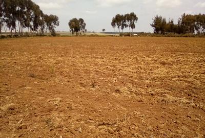 Land at Timau - 4
