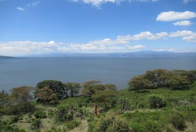 Land at Moi North Lake Rd - 4