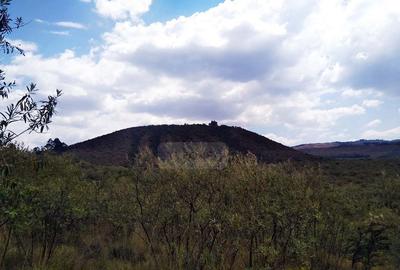 20,235 m² Land in Naivasha - 2
