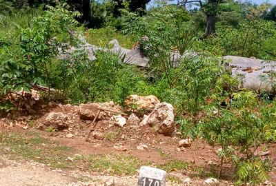 1,000 m² Residential Land at Vipingo - Kuruwitu