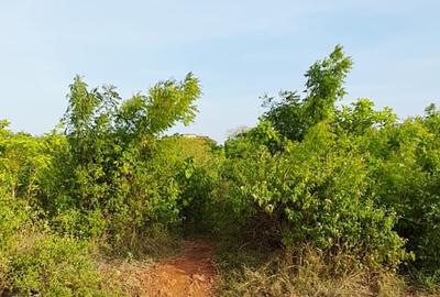 Land in Diani - 2
