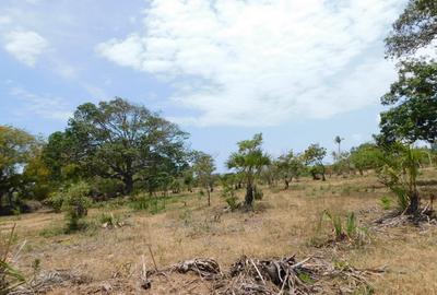 10,000 ft² Land in Vipingo