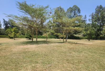 Land at Langata South Road