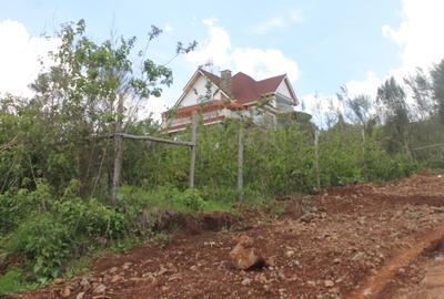 0.10 ac Residential Land at Lemiso Road - Kibiko - 4