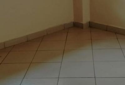 1 Bed Apartment with Borehole in South B