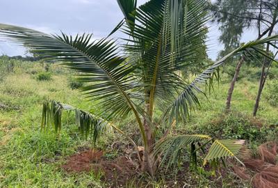 3.8 ac Land in Vipingo - 4