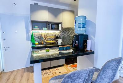 Furnished 1 Bed Apartment with En Suite in Tatu City - 4