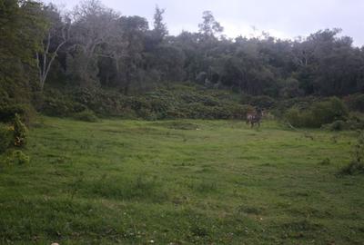 2,023 m² Land in Nanyuki